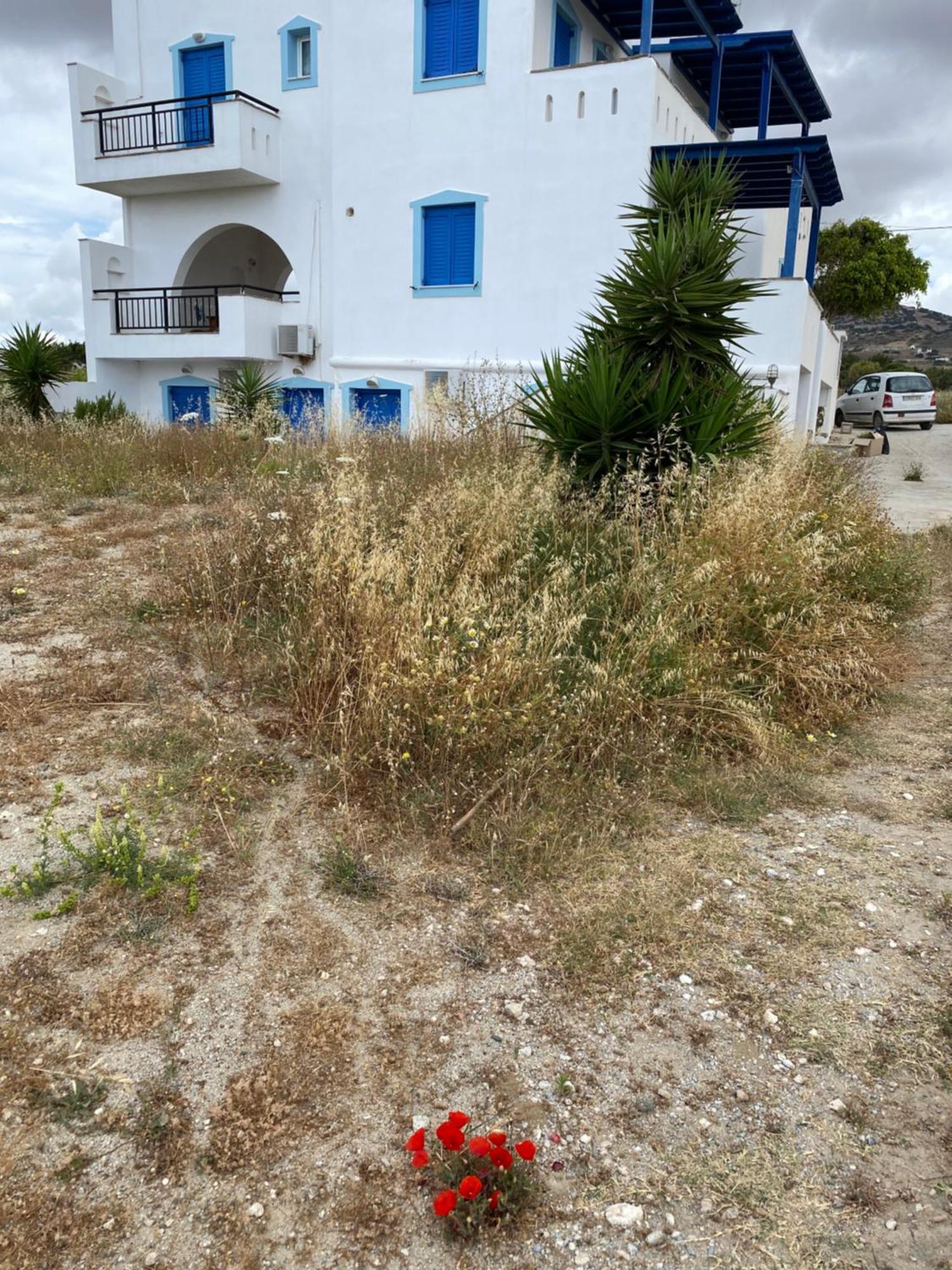 דירות Kastrákion Baetylus מראה חיצוני תמונה